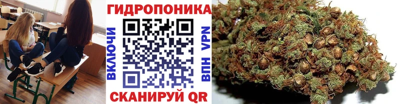 Магазины продажи наркотиков Миньяр ГАШИШ Кокаин МЕФ СК Канабис