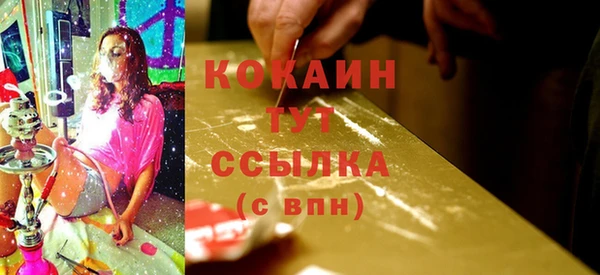 стафф Арсеньев