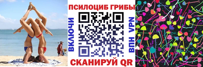 где продают   Миньяр  Галлюциногенные грибы Psilocybe 
